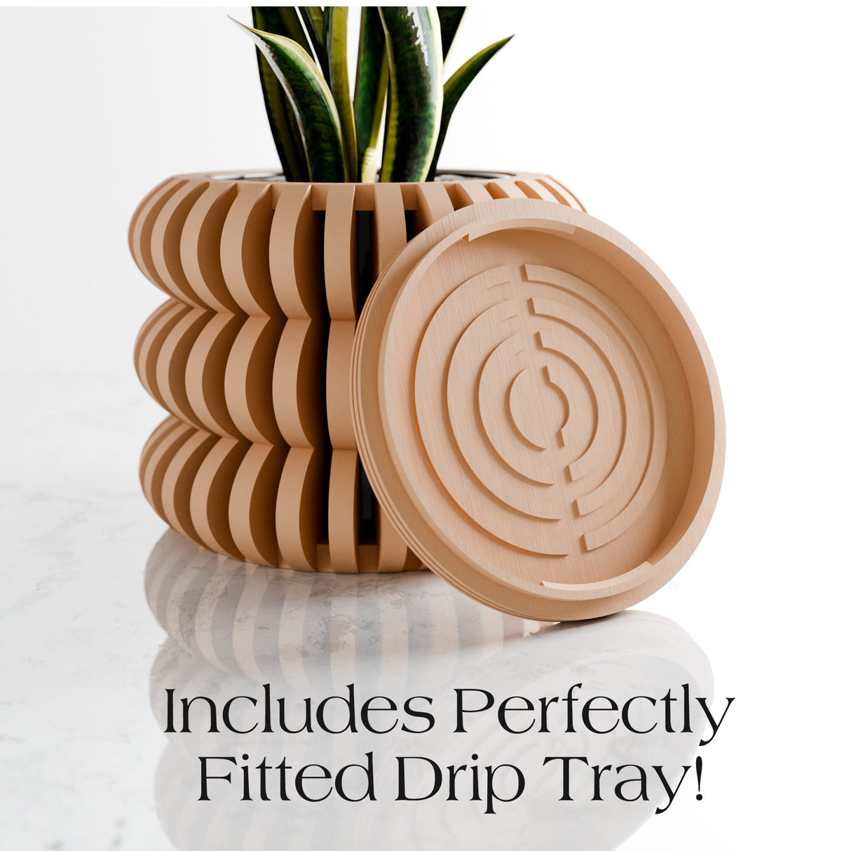 Triple Bubble Orchid Planter