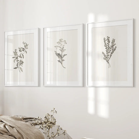 Vintage Home Decor. Botanical Wall Art Set by Sydney Parkinson