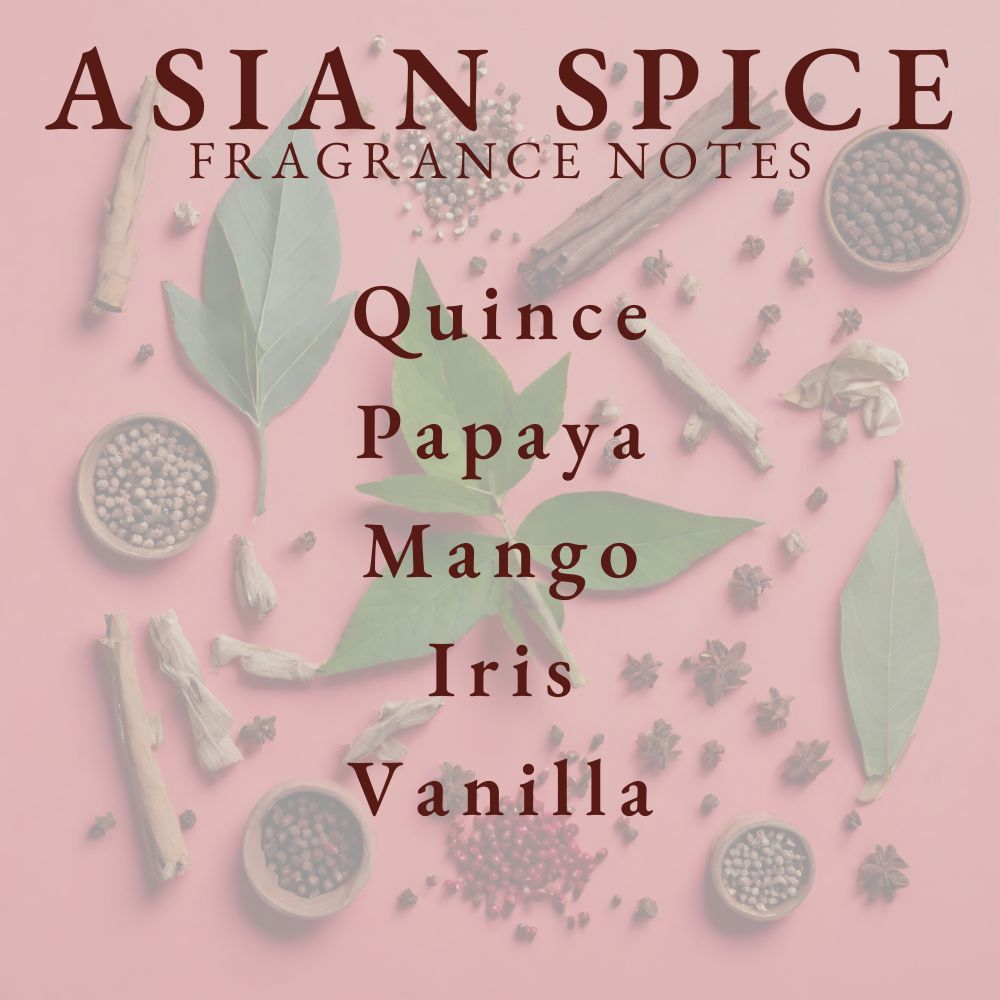 Pier 1 Asian Spice Reed Diffuser Refill Oil