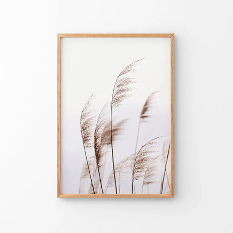 Beige Dried Grass Print. Summer Field