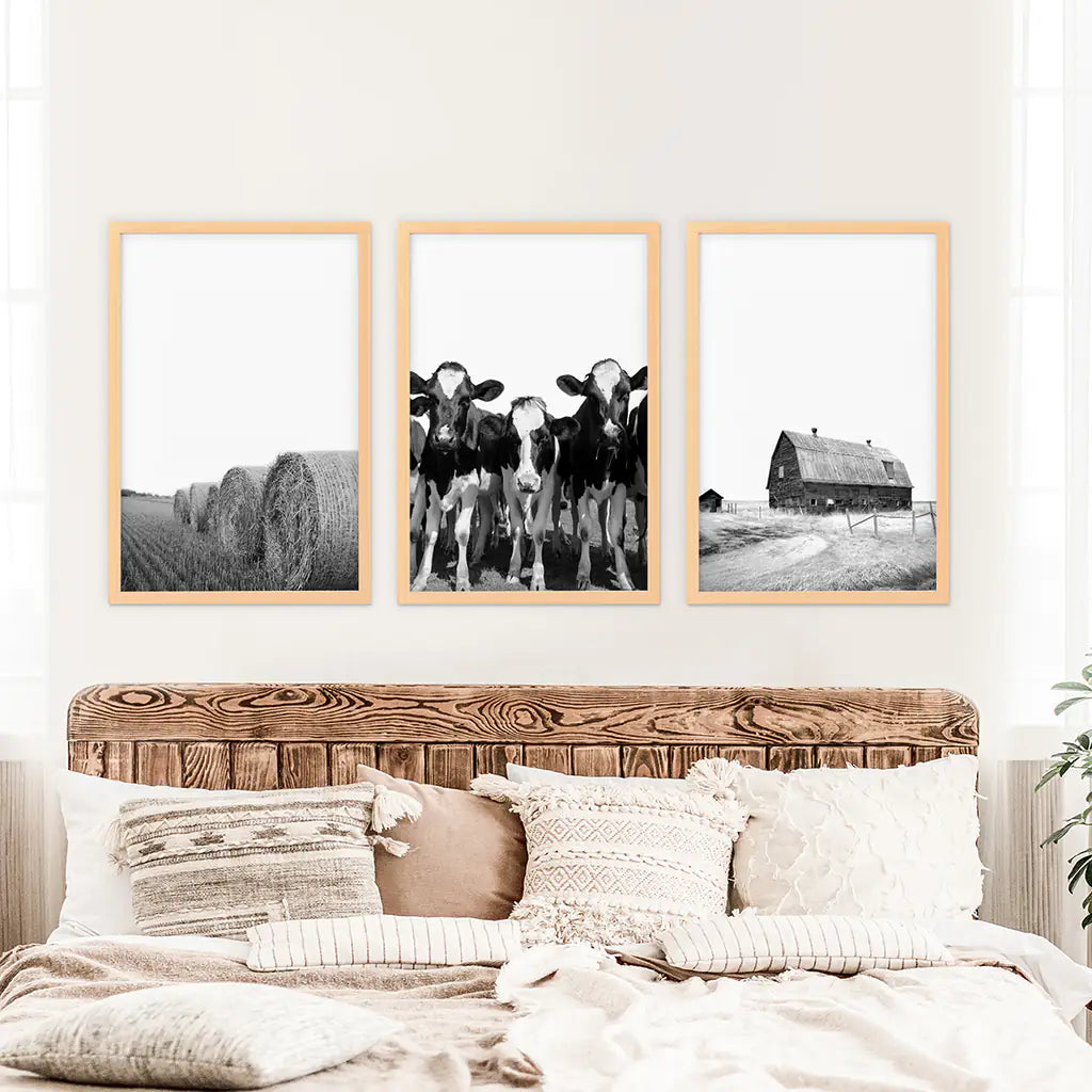 Black White Harvest on a Farm Wall Art. Cow, Hay Bale, Barn