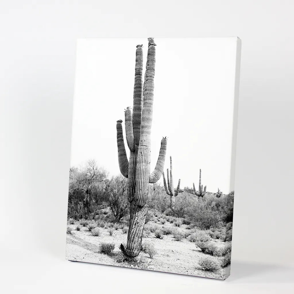 Black White Saguaro Cactus Poster. Arizona Desert Nature