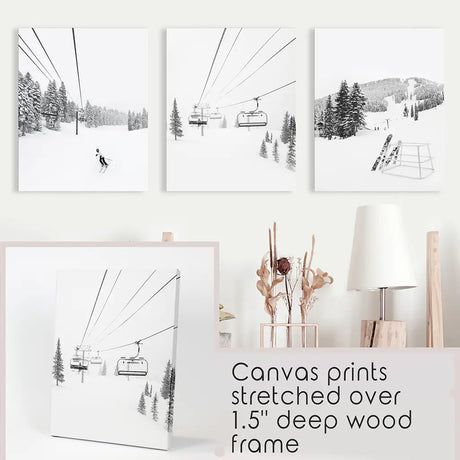 3 Piece Black White Winter Sport Wall Art Set. Ski Lodge