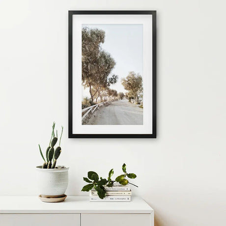 Modern Coastal Neutral Tones Photo. Trees Wall Art