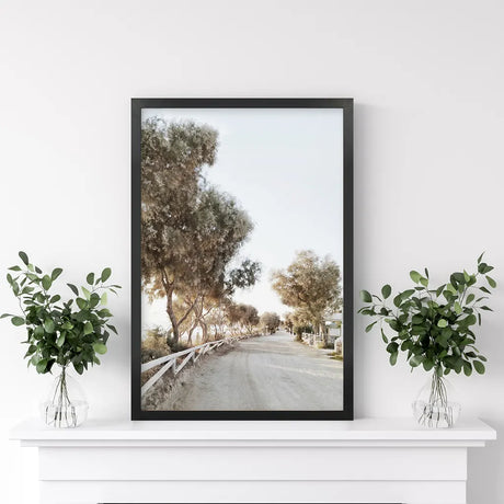 Modern Coastal Neutral Tones Photo. Trees Wall Art