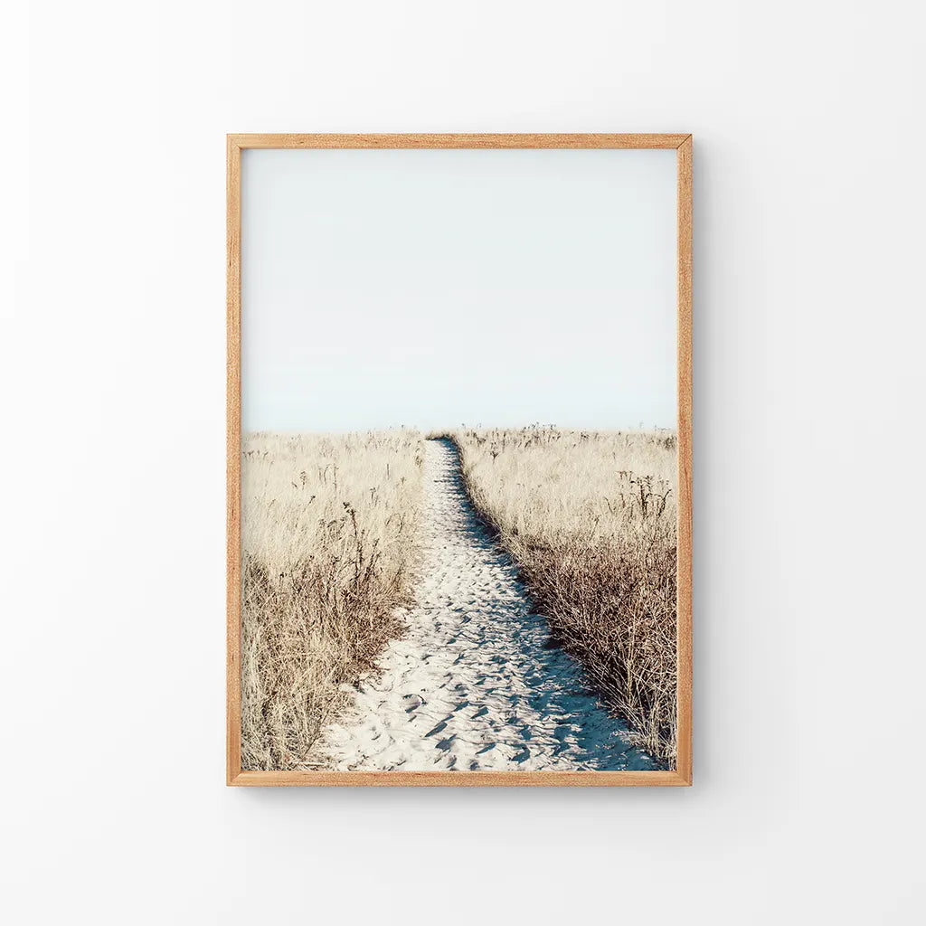 Calm Beach Wall Art Print. Sand Dunes, Dried Grass