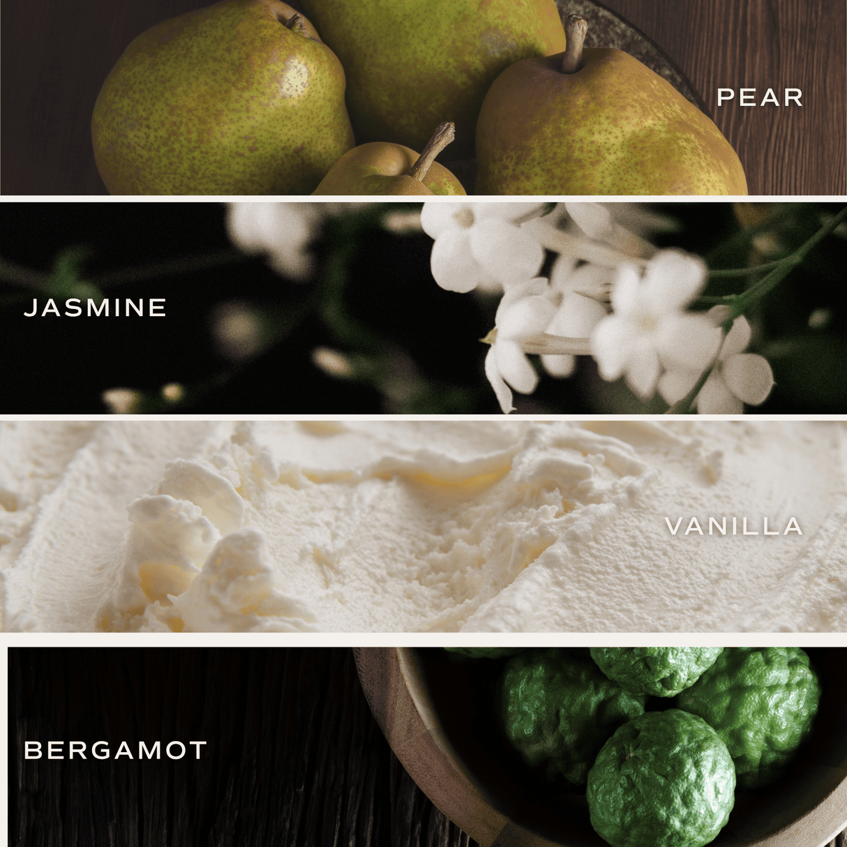 Favorite Sweater Soy Candle - Tan Matte Jar - 15 oz (Cashmere and Vanilla)