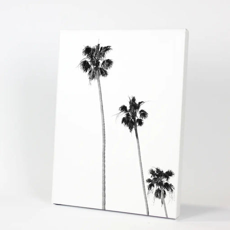 Tropical Black White Palm Trees Wall Decor