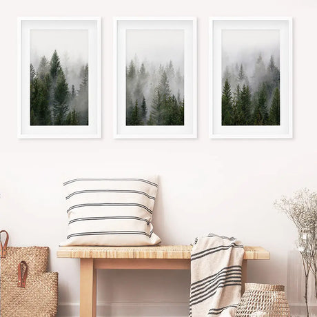 Green Pine Tree Forest. Foggy Nature Wall Art Prints