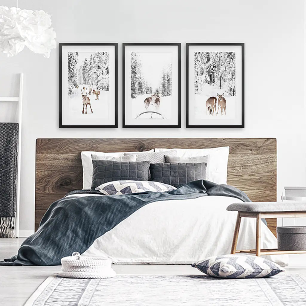 Winter Woodland Photo Set of 3. Fawn, Dog Sledding