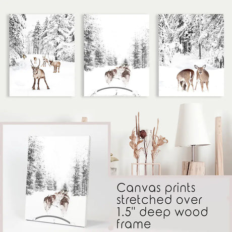 Winter Woodland Photo Set of 3. Fawn, Dog Sledding