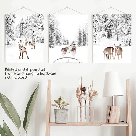 Winter Woodland Photo Set of 3. Fawn, Dog Sledding