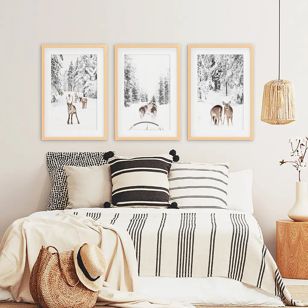 Winter Woodland Photo Set of 3. Fawn, Dog Sledding