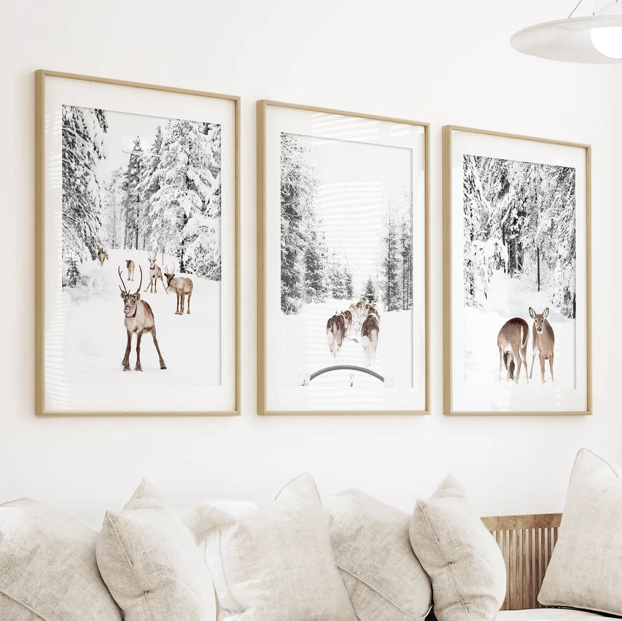 Winter Woodland Photo Set of 3. Fawn, Dog Sledding