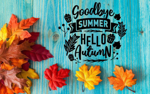 Farewell, Flip Flops: Embracing Fall Vibes in Home Decor!