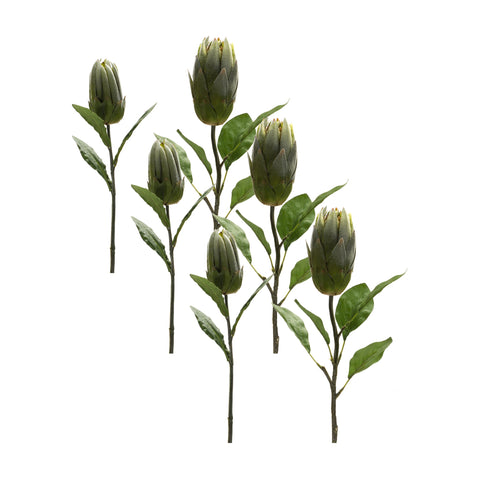 Green-Protea-Leaf-Stem-(Set-of-6)-Decorative-Flora