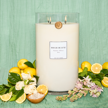 Bougie De Luxe Candle (300 oz, 750-1,000 hours)