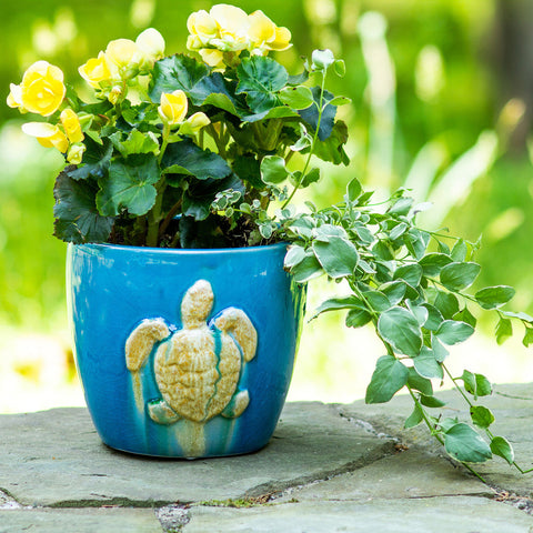 Ocean-Grotto-Sea-Turtle-Round-Planter-Planters