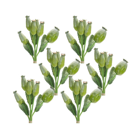 Green-Poppy-Pod-Foliage-Bundle-(Set-of-6)-Decorative-Flora