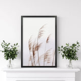 Beige Dried Grass Print. Summer Field