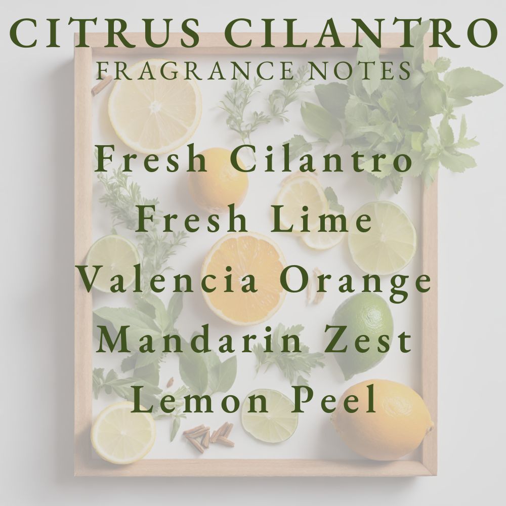 Pier 1 Citrus Cilantro Reed Diffuser