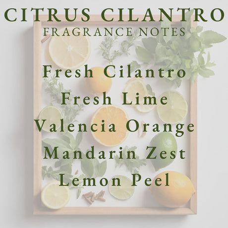 Pier 1 Citrus Cilantro Reed Diffuser