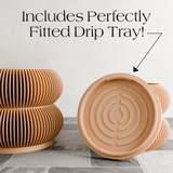 Double BUBBLES Planter