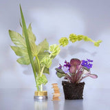 Good Chemistry Travel Spray Eau De Parfum Perfume Magnolia Violet 0.34 fl oz - New