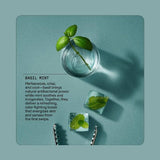 cleo+coco. Body and Hair Antiperspirants and Deodorant Powder Basil Mint 0.88oz - New