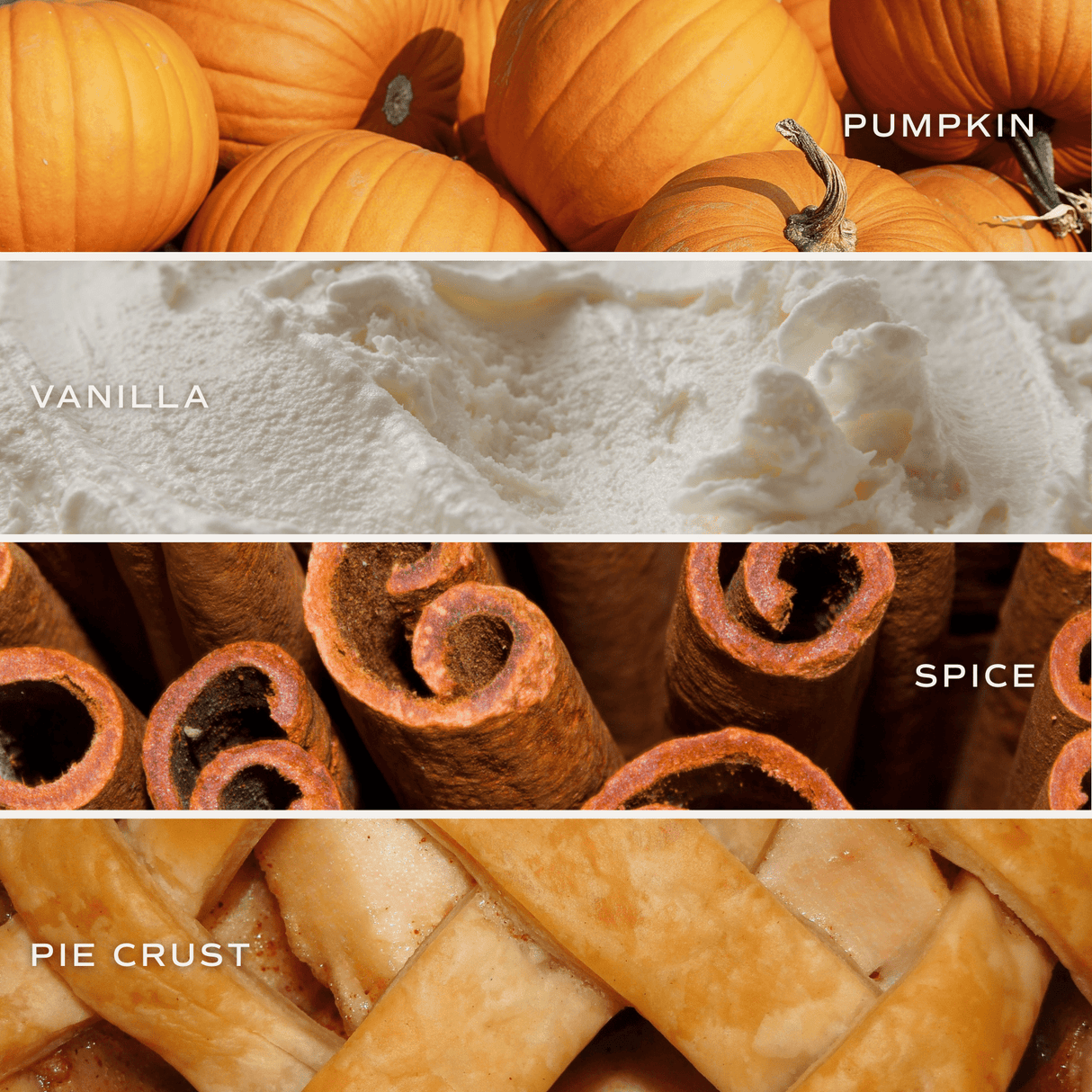 Hello Pumpkin Soy Candle - White Jar - 11 oz