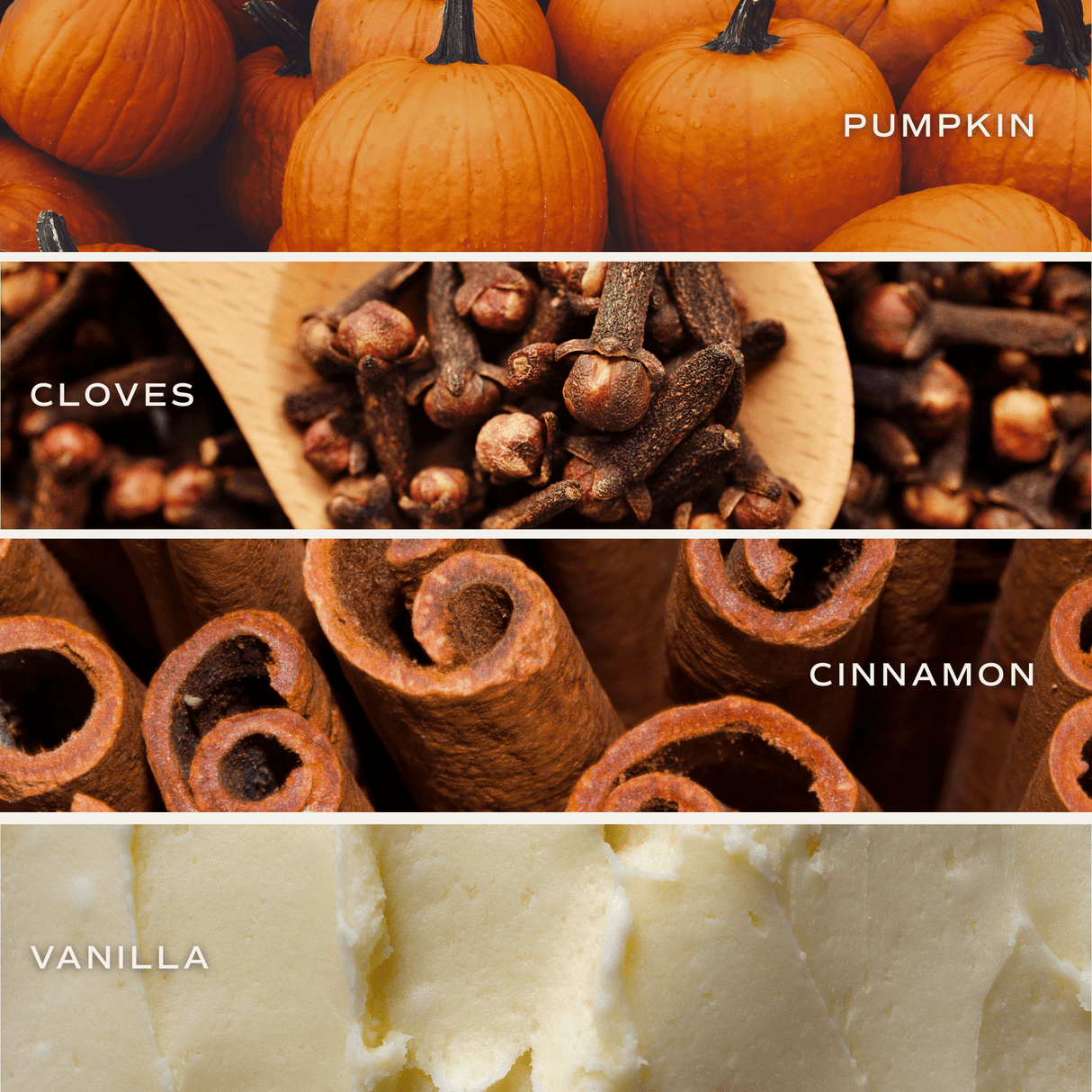 Pumpkin Spice Soy Candle - Orange Matte Jar - 15 oz