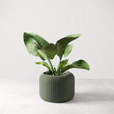 Orbis Planter