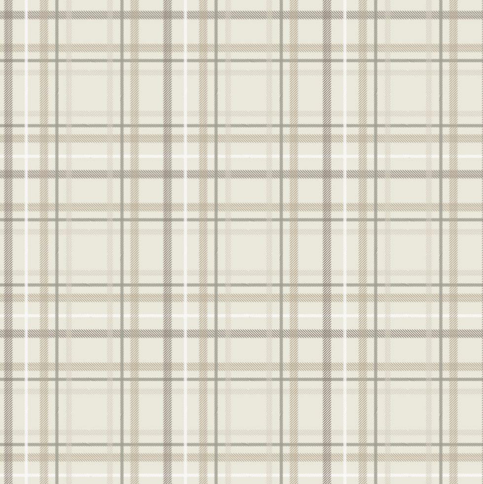 Minky Stretch XL Throw Blankets