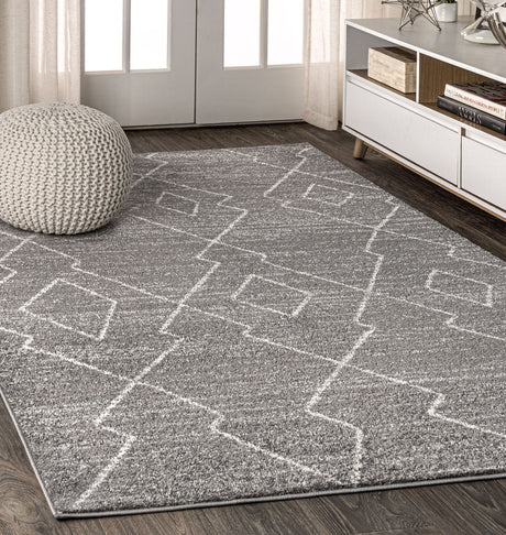 Moroccan Area Rug