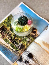 Garden Terrarium Candle – A Touch of Nature’s Serenity