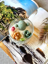 Garden Terrarium Candle – A Touch of Nature’s Serenity