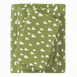 4-Piece Turkish Cotton Flannel Sheet - Lakeview Collection