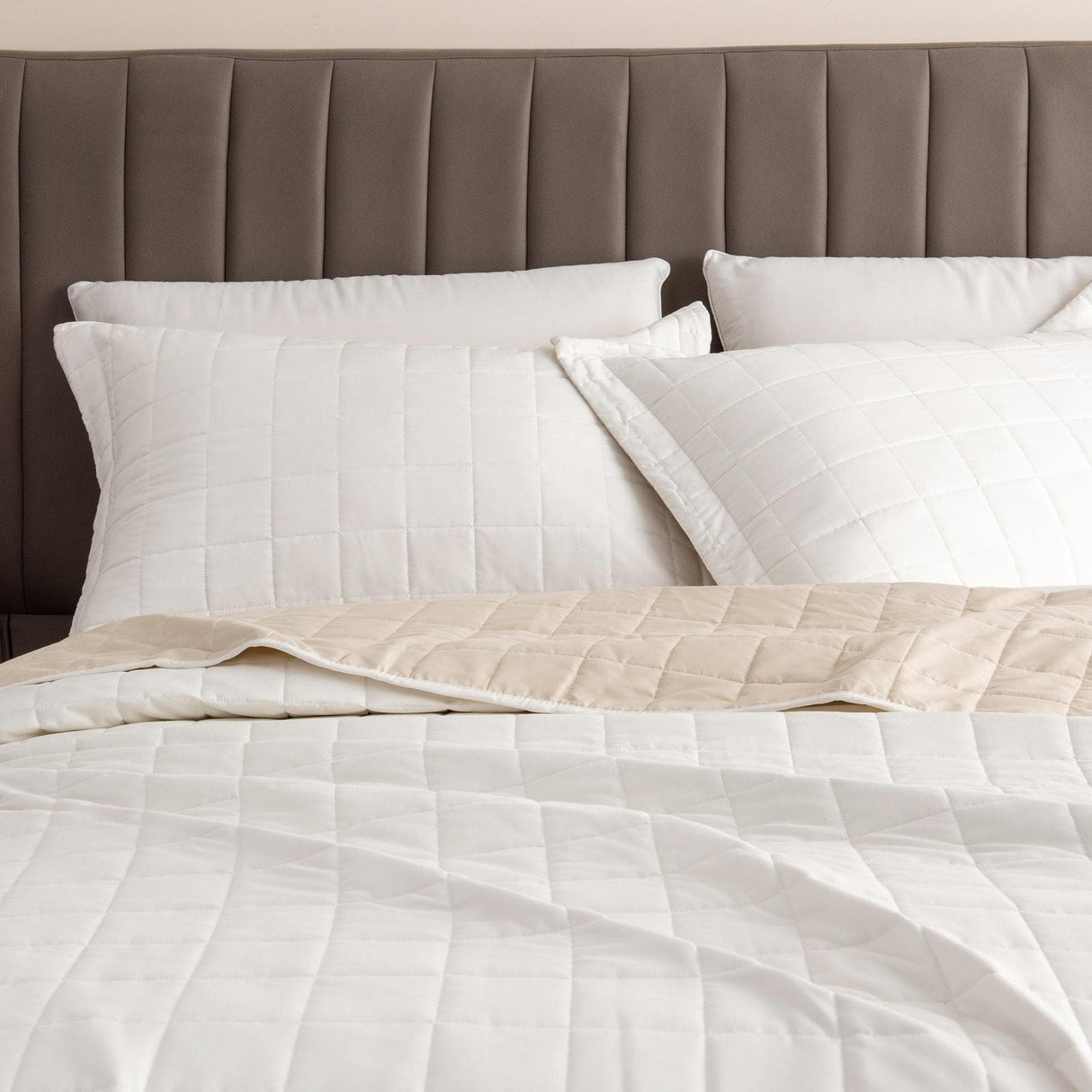 3 Piece Reversible Quilt Set - Mylo Collection