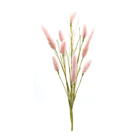 Foxtail-Spray-(Set-of-6)-Pink-Decorative-Flora